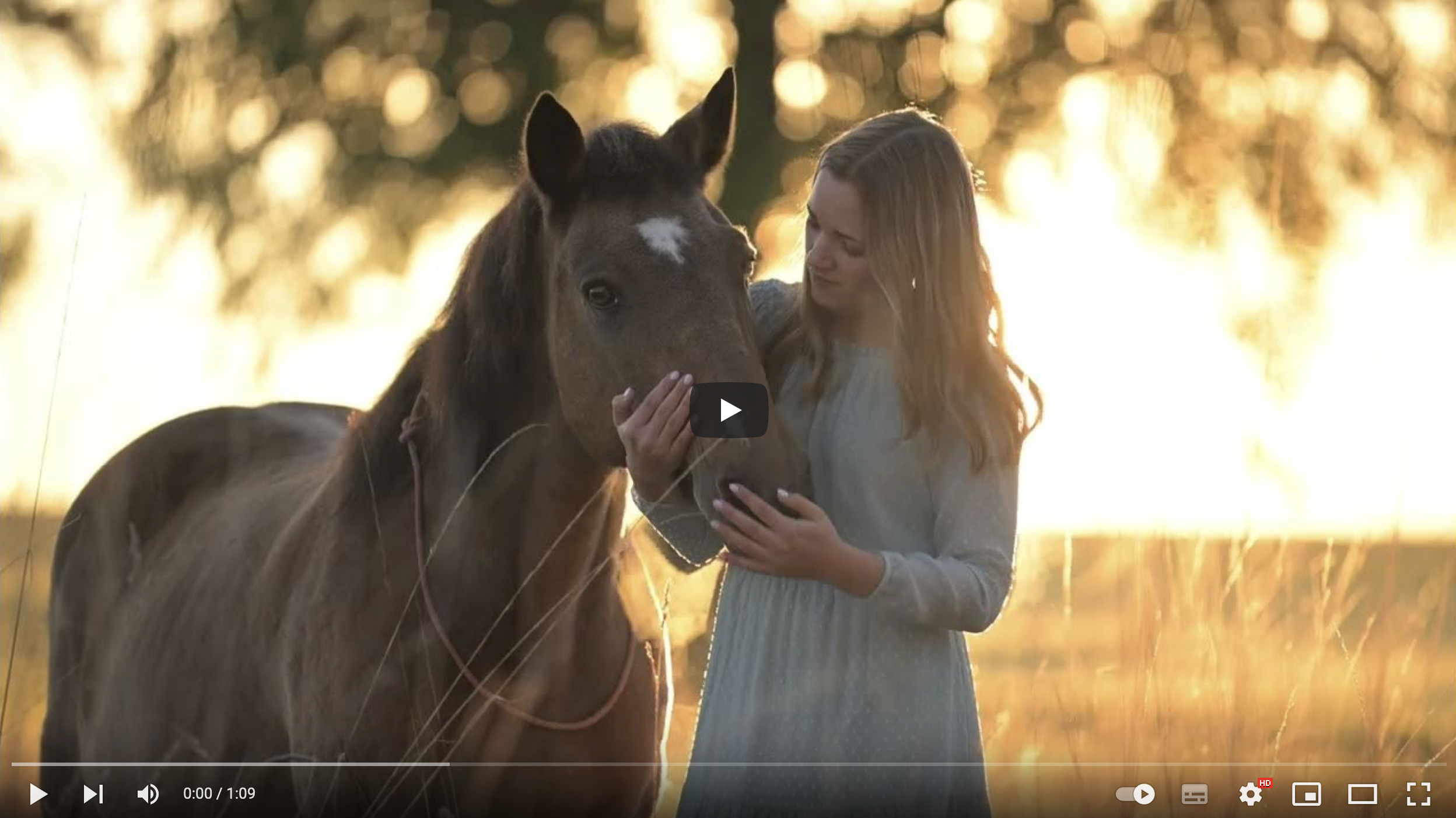 Video - Film Pferd + Besitzer im Sonnenaufgang